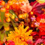 “Thanks” Around The World